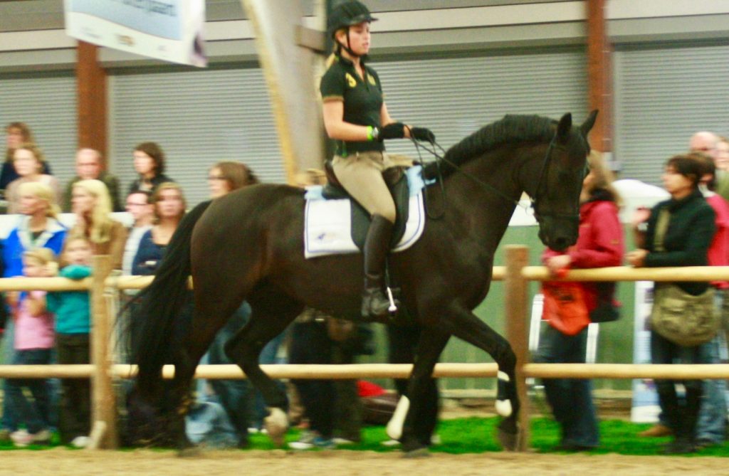 Tijdens de clinic op Horse Event meten we de druk onder het zadel