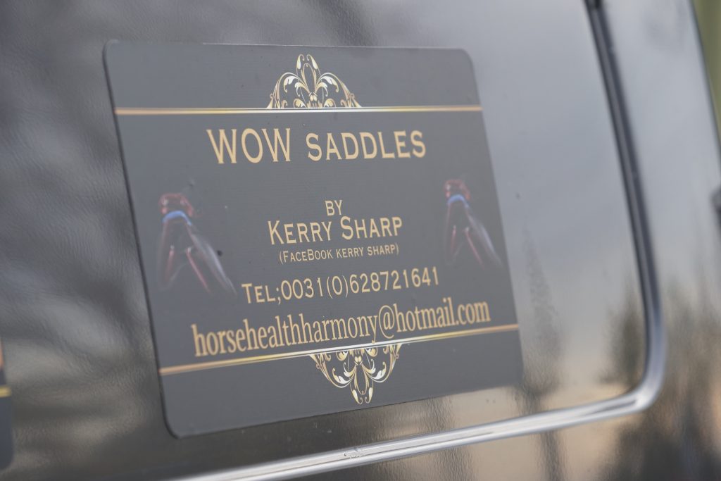 WOW saddles