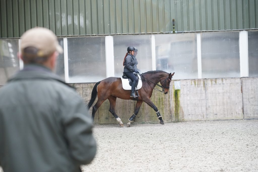 Het perfecte zadel voor het paard